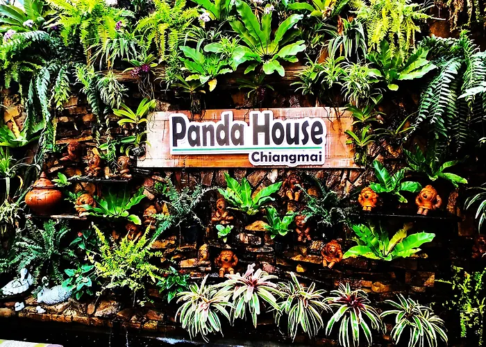 Panda House Chiang Mai Hostel